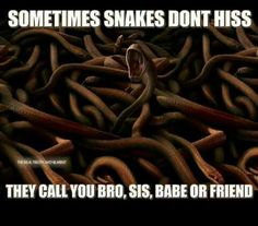 there is a large pile of chains with the caption sometimes snakes don't kiss they call you, sis, babe or friend