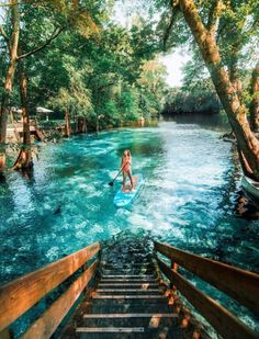 an instagram page with a girl on a surfboard in the water and trees