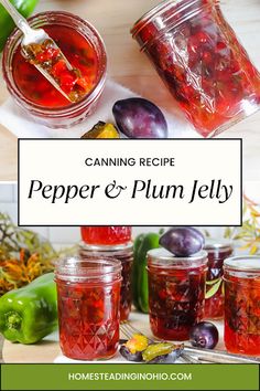 canning recipe for pepper and plum jelly