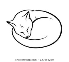 a cat curled up sleeping in a circle