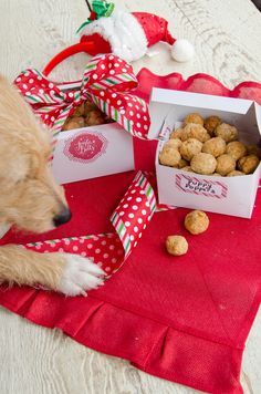 a dog is looking at some food on the table with its paws in it's mouth