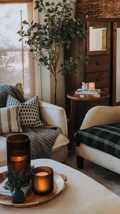 a living room filled with furniture and a potted plant on top of a table