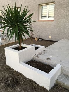 there is a small tree in the middle of this concrete block planter box that has been planted