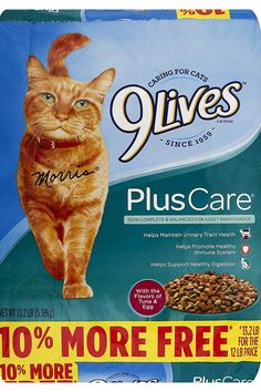 an orange cat standing on top of a bag of nine lives plus care litter for cats