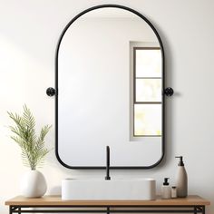 a bathroom with a mirror, sink and plant on the counter top in front of it