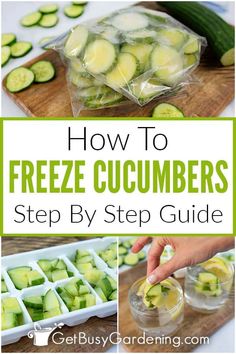 how to freeze cucumbers step by step guide