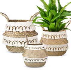 three woven baskets with plants in them