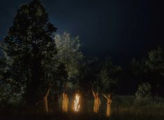 five people standing around a campfire in the woods at night with their hands up