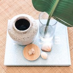 a white vase sitting on top of a table next to a small shell and a green plant