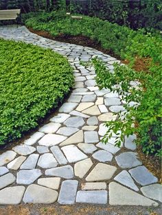 a stone path in the middle of a garden