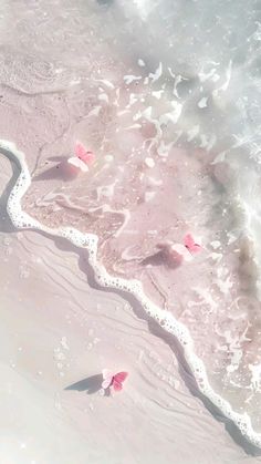 pink petals floating in the water on a beach with white sand and foamy waves