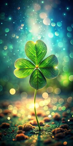 a four leaf clover sitting on top of a dirt field with bright lights in the background