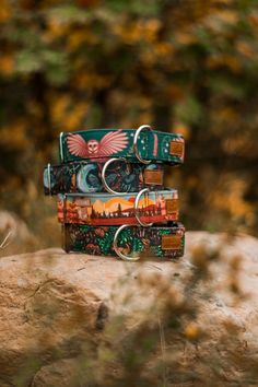 three colorful dog collars sitting on top of a rock