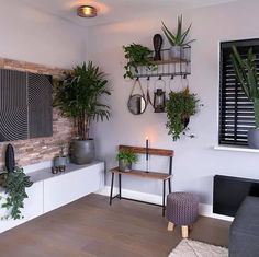 a living room with potted plants on the wall and a bench in front of it