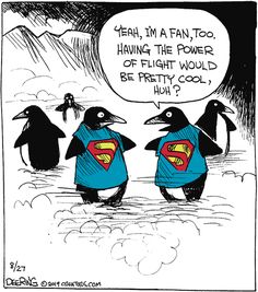 two penguins wearing superman shirts and one penguin is saying, yeah i'm a fan too having the power of flight would be pretty cool