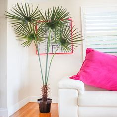 a white couch sitting next to a pink pillow on top of a hard wood floor