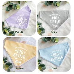 Pregnancy Announcement, Baby Announcement Photoshoot, Big Brother Big Sister Dog Bandana, Pastel Pink Blue Dog Bandana, Over the Collar - Etsy UK Announcement Photoshoot, Baby Announcement Photoshoot, Blue Dog, Big Sister, Purple Grey