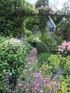 the garden is full of colorful flowers and greenery