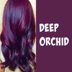 Burgundy And Plum Hair, Burgundy Violet Hair, Purple And Burgundy Hair, Burgundy Hair Plum Purple, Wild Orchid Hair Color, Dark Violet Hair Color, Deep Wine Hair Color, Deep Plum Hair Color, Red And Purple Highlights