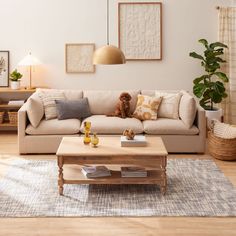 a living room with a couch, coffee table and potted plant in the corner