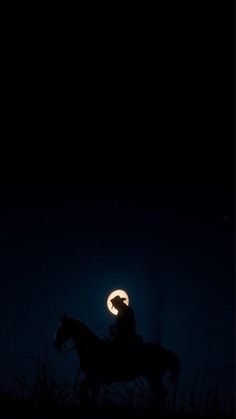 a man riding on the back of a horse under a moon filled sky at night