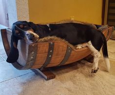 a black and white dog laying on top of a wooden barrel