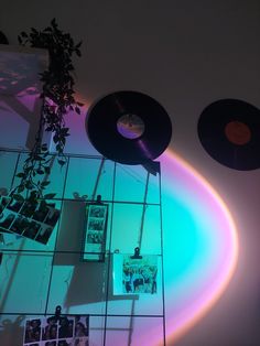 some records are hanging on a wall with lights in the corner and pictures hung up behind them