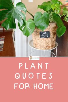 a plant with the words plant quotes for home