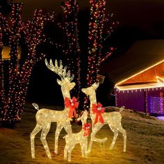 two reindeer statues with lights in the background