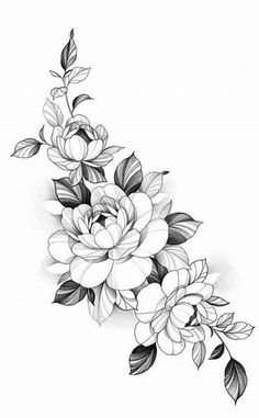 a black and white drawing of flowers with leaves on the bottom half of their petals