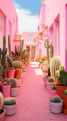 there are many cacti in the pots on the sidewalk and one is pink