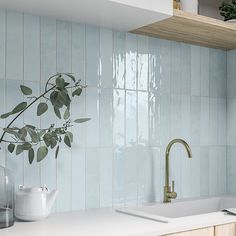 a kitchen with blue tiles and white counter tops is pictured in this image, there are plants on the shelf above the sink