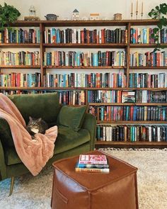 a cat sitting on a green chair in front of a book shelf filled with books