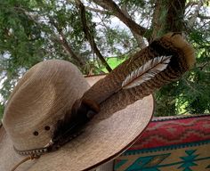 Buckaroo hat feather.  Feather consist of turkey tail feather measuring from feather tip to quill end 14 inches long by 3 inches widest area.  Accent feathers consist of a black turkey down feather.  Quill is finished with a leather bead and leather wind string, quill is wrapped with natural deer sinew.  Simple but gorgeous colors to add dimension and character to your hat.  Feathers are packed in proper packaging appropriate for feathers to ensure it's safe arrival. Note: feathers  and sinew are ethically sourced.   Hat for display purpose only. Southwestern Style Brown Hat With Feathers, Country Style Brown Hat With Feathers, Brown Western Felt Hat With Feathers, Brown Country Hat With Feathers, Adjustable Hats With Feather Trim For Western-themed Events, Cowboy Hat Feather, Buckaroo Hats, Black Turkey, Hat Feathers