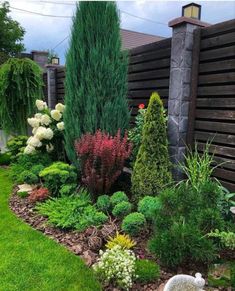 a garden with lots of different types of plants and flowers in the middle of it