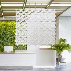 an office with a green wall and white reception desks