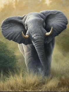 an elephant is standing in the grass with its tusks curled up and it's eyes closed