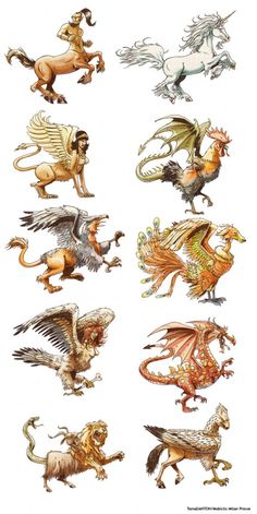 an image of some animals that are in different positions and sizes, all with wings