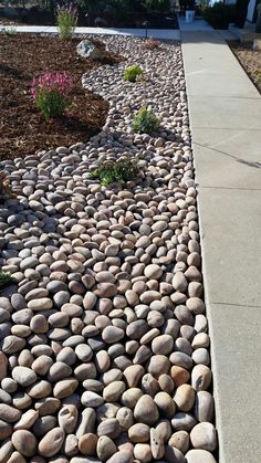 a walkway made out of rocks with flowers in the background