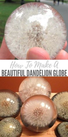 a person holding up a dandelion globe in front of some other pictures with the words how to make a beautiful dandelion globe