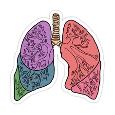 an illustration of the lungs in color and black and white stickers on a white background