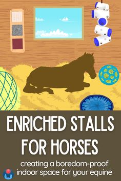 Digital art image of horse silhouette in stall full of equine enrichment. Horse lies on deep straw bedding surrounded by items for play and equine boredom relief. Beneath, white text on brown background read: Enriched stalls for horses. Creating a boredom proof indoor space for your equine. Diy Horse Toys For Horses, Horse Toys For Horses, Horse Toys For Horses Easy Diy, Horse Stall Toys Diy, Diy Horse Stalls Toys, Horse Care For Beginners, Horse Stall Hacks, Diy Horse Enrichment, Diy Horse Boredom Toys