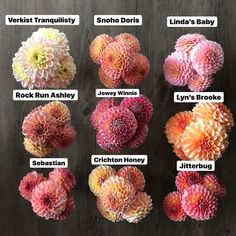 different types of flowers with names on them