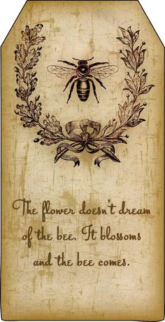 an old book with a drawing of a bee on the front and words below it