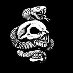 a black and white drawing of a skull with a snake on it's head