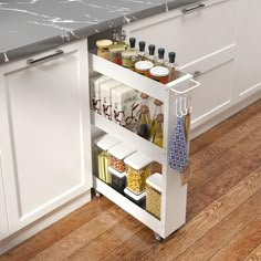 an open cabinet in a kitchen with spices, condiments and other items on it