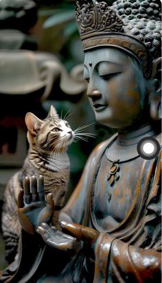 a cat that is sitting next to a statue