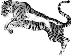 a black and white drawing of a tiger leaping