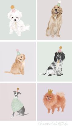 four different pictures of dogs with hats and dresses on their heads, all in pastel colors