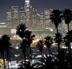 black and white photograph of palm trees in front of the city at night with lights on